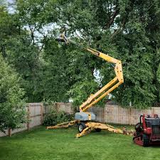 Best Lawn Renovation and Restoration  in Pixley, CA