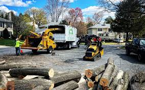 Best Arborist Consultation Services  in Pixley, CA