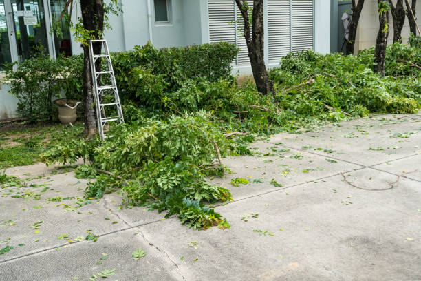Best Lawn Maintenance Plans  in Pixley, CA