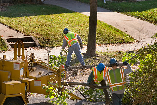 Best Storm Damage Tree Cleanup  in Pixley, CA